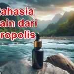 Propolis Aman atau Tidak? Ini Efek Samping dan Kontra Indikasi yang Harus Anda Ketahui