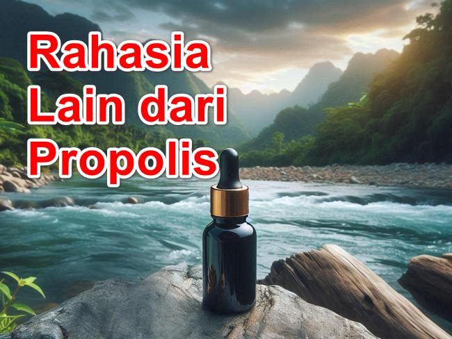 Propolis Aman atau Tidak? Ini Efek Samping dan Kontra Indikasi yang Harus Anda Ketahui