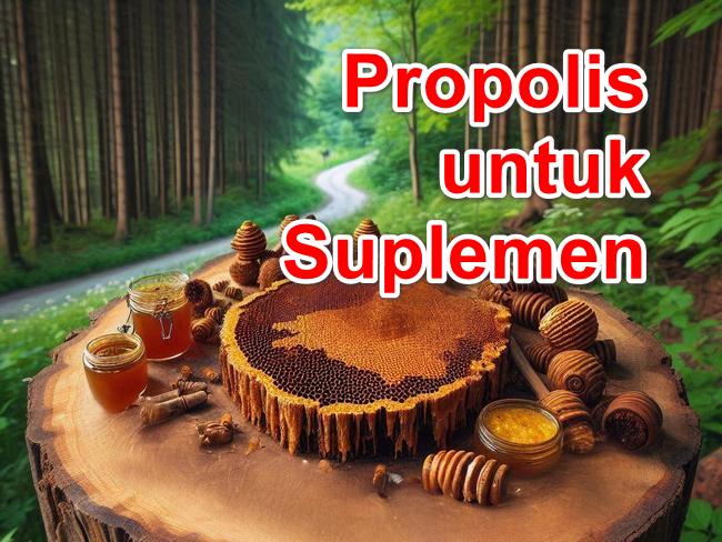 Propolis: Rahasia Suplemen Alami untuk Mencapai Kesehatan Optimal Secara Menyeluruh