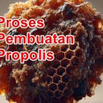 Proses Pembuatan Propolis oleh Lebah: Sebuah Keajaiban Alam