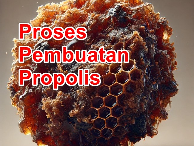 Proses Pembuatan Propolis oleh Lebah: Sebuah Keajaiban Alam