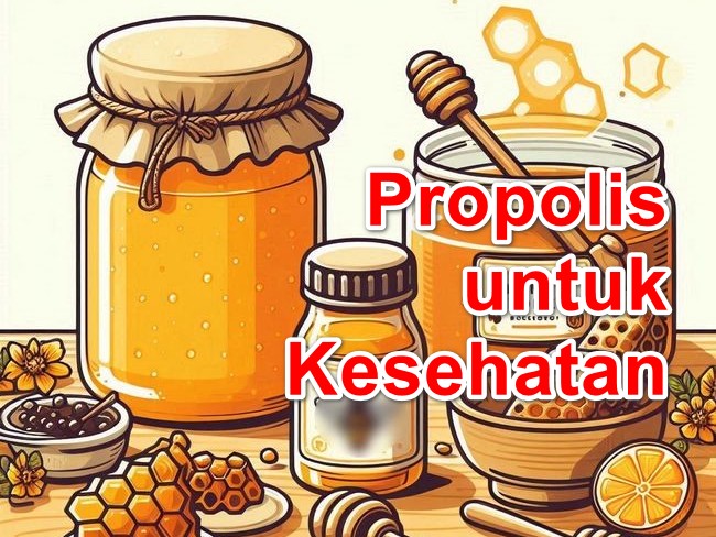 Manfaat Propolis: Harta Karun Alami untuk Kesehatan Optimal