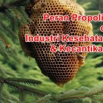 Mengungkap Keajaiban Propolis dalam Industri Kecantikan dan Kesehatan