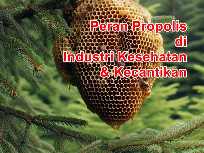 Mengungkap Keajaiban Propolis dalam Industri Kecantikan dan Kesehatan