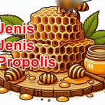 Jenis-Jenis Propolis: Mana yang Tepat untuk Kesehatan Anda?