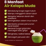 8 Manfaat Air Kelapa Muda yang Menyegarkan