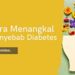 Inilah Penyebab Diabetes dan Cara Menangkalnya |- dr. R. Cahyono Sp Naturopathy