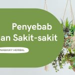 Inilah Penyebab Badan Sakit-sakitan Setelah Usia 40 Tahun