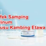 Efek Samping dan Siapa saja yang tidak Boleh Mengkonsumsi Susu Kambing Etawa
