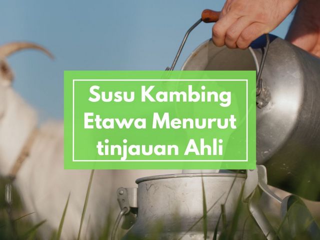 Apa yang dikatakan Tentang Khasiat Susu Kambing Etawa Murni Menurut Para Ahli Kesehatan?