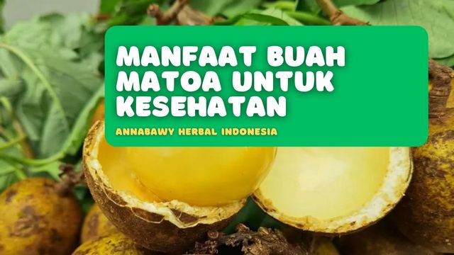 Manfaat Buah Matoa Untuk Kesehatan