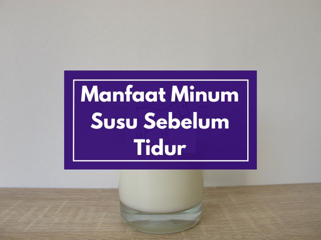 Apa Dampak dari Manfaat Minum Susu Kambing Etawa Sebelum Tidur