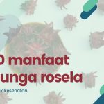 Rahasia Kelopak Merah: 10 Manfaat Bunga Rosella Bakal Jadi Sahabat Terbaikmu!