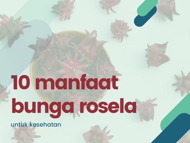 Rahasia Kelopak Merah: 10 Manfaat Bunga Rosella Bakal Jadi Sahabat Terbaikmu!