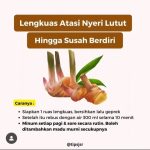 Jangan Buru-buru Minum Obat! Rahasia Dapur Ini Bisa Bikin Lutut Kembali Kuat dan Bebas Nyeri!