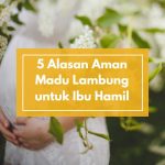 Ibu Hamil dan Menyusui Wajib Tahu! Ini 5 Alasan Madu Lambung Ini Aman dan Baik Dikonsumsi