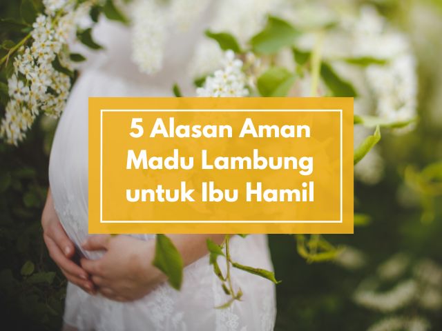 Ibu Hamil dan Menyusui Wajib Tahu! Ini 5 Alasan Madu Lambung Ini Aman dan Baik Dikonsumsi