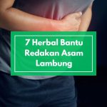 Mau Lambung Sembuh Alami? Ini 7 Herbal yang Bisa Bantu Redakan Asam Lambung