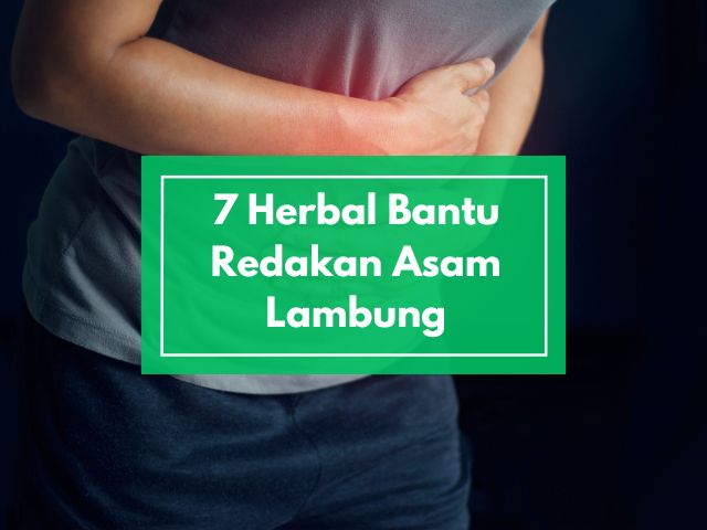 Mau Lambung Sembuh Alami? Ini 7 Herbal yang Bisa Bantu Redakan Asam Lambung