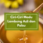 Ciri-Ciri Madu Lambung Asli dan Palsu: Simak Penjelasan dan Tips Ahli Herbal Secara Akurat Sebelum Membeli