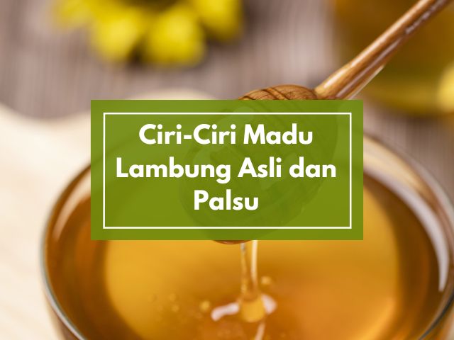 Ciri-Ciri Madu Lambung Asli dan Palsu: Simak Penjelasan dan Tips Ahli Herbal Secara Akurat Sebelum Membeli