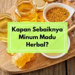 Kapan Sebaiknya Minum Madu Herbal? Ini Waktu yang Tepat agar Manfaatnya Maksimal di Lambung