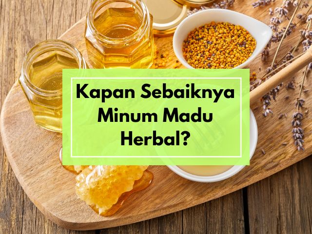 Kapan Sebaiknya Minum Madu Herbal? Ini Waktu yang Tepat agar Manfaatnya Maksimal di Lambung