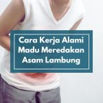 Cara Kerja Madu dalam Meredakan Asam Lambung secara Alami: Ini Penjelasan Ilmiah yang Jarang Diketahui