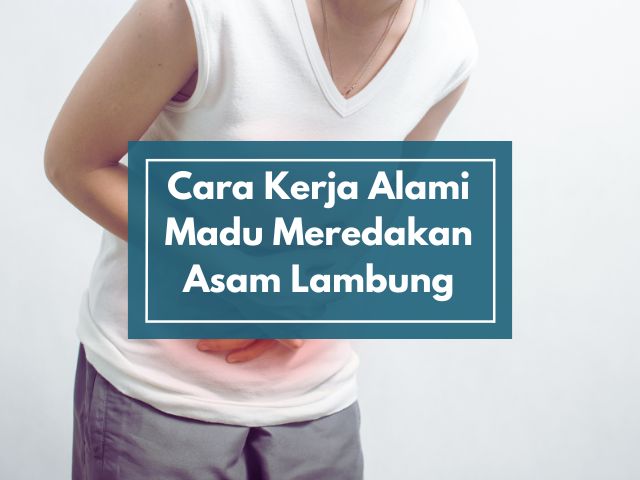 Cara Kerja Madu dalam Meredakan Asam Lambung secara Alami: Ini Penjelasan Ilmiah yang Jarang Diketahui