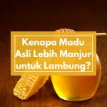 Kenapa Madu Asli Lebih Manjur untuk Lambung? Ini Alasan Penderita Maag dan GERD Wajib Tahu