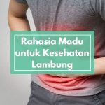 Mengungkap Rahasia Madu untuk Kesehatan Lambung: Manfaat Nyata atau Klaim Tanpa Bukti?