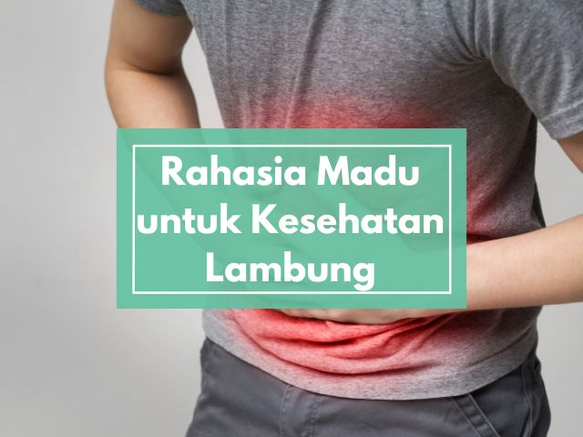 Mengungkap Rahasia Madu untuk Kesehatan Lambung: Manfaat Nyata atau Klaim Tanpa Bukti?