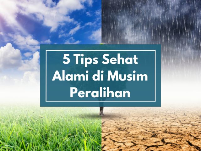 5 Tips Sehat Alami di Musim Peralihan: Kombinasi Pola Hidup & Fit Dengan Herbal