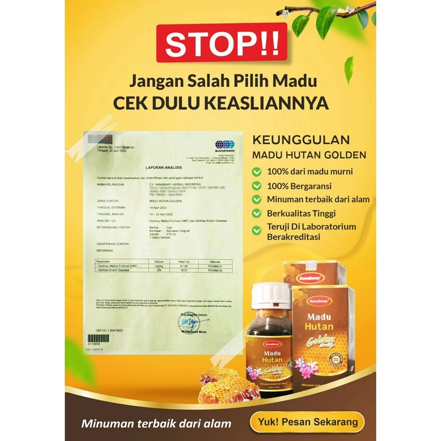 Madu Hutan Golden Annabawy 550ml - Premium Madu Hutan Sialang Murni Organic Tanpa Campuran - Image 4