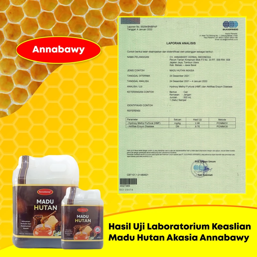 Madu Hutan Golden Annabawy 550ml - Premium Madu Hutan Sialang Murni Organic Tanpa Campuran - Image 3