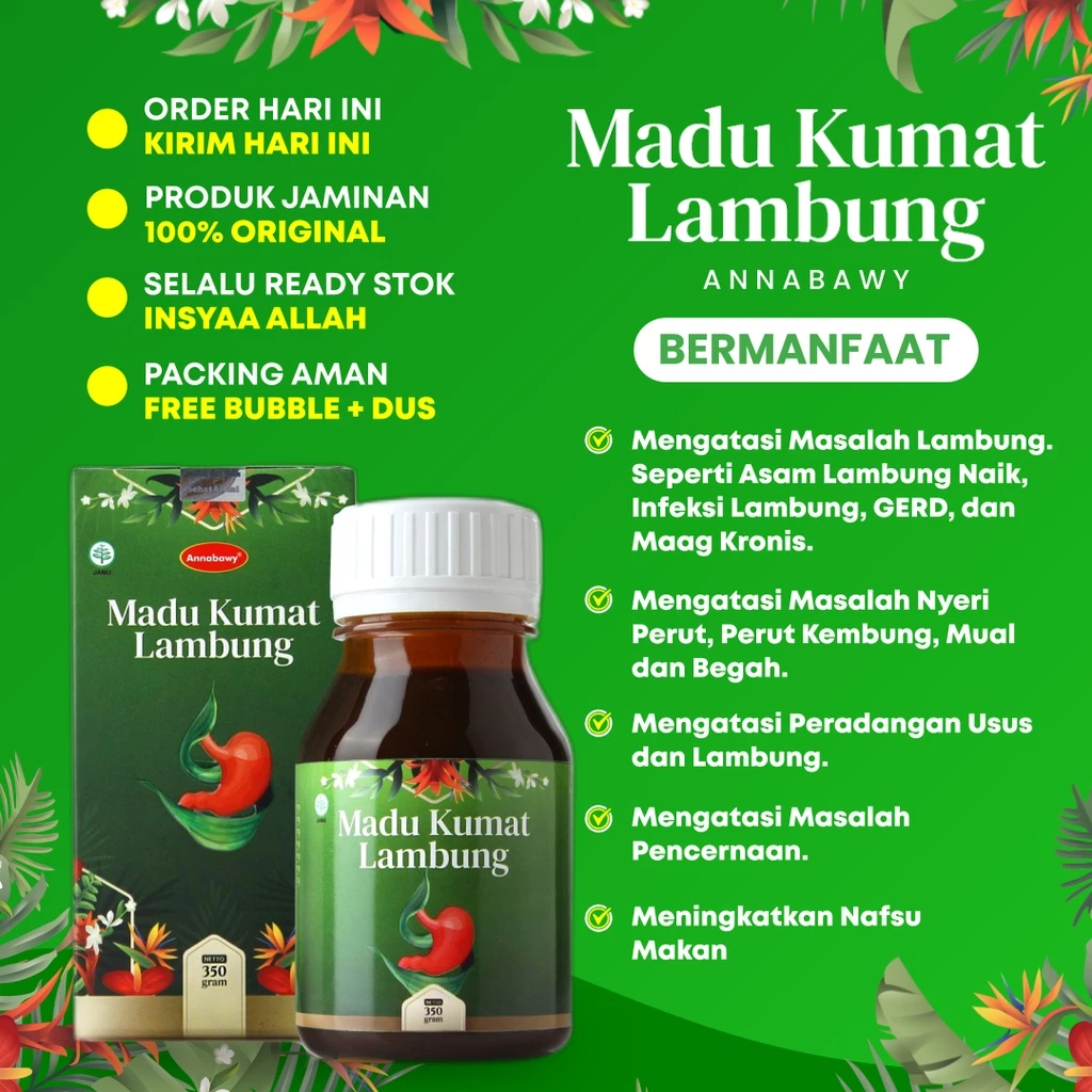 Madu Kumat Lambung Annabawy 350gr - Obat Herbal Solusi Atasi Asam Lambung dan Maag Kronis - Image 3