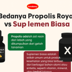 Bedanya Propolis Royal J vs Suplemen Biasa — Mana yang Lebih Baik untuk Kesehatan?
