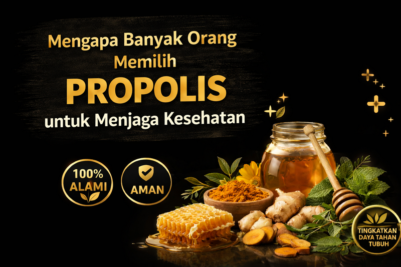 Mengapa Banyak Orang Memilih Propolis untuk Menjaga Kesehatan