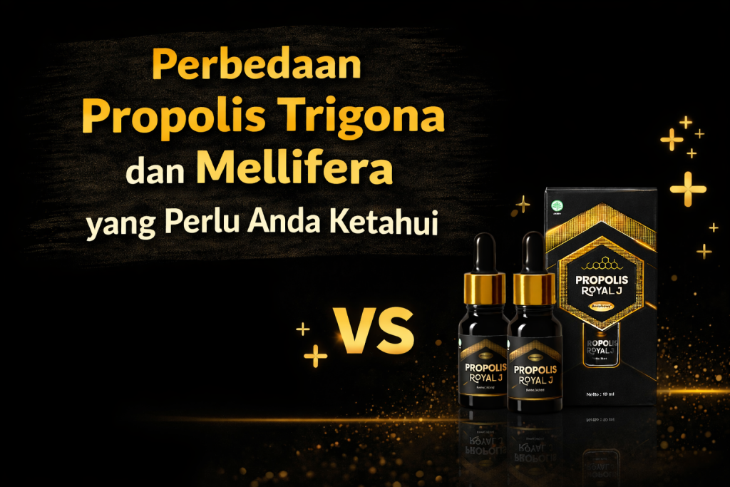 Perbedaan Propolis Trigona dan Mellifera yang Perlu Anda Ketahui