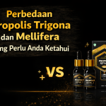 Perbedaan Propolis Trigona dan Mellifera yang Perlu Anda Ketahui